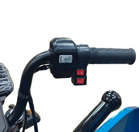 Грузовой электротрицикл FUDUDU M1 60V40Ah