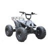 Электроквадроцикл Skyboard CyberTruck Karelia 1800W
