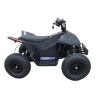Электроквадроцикл Skyboard CyberTruck Sochi Kids 800W (цепной привод)