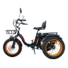 Трехколесный электровелосипед фэтбайк Kugoo Trike