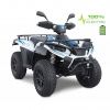 Квадроцикл GreenCamel Linhai LH40DA (3900W 50 км/ч) красный