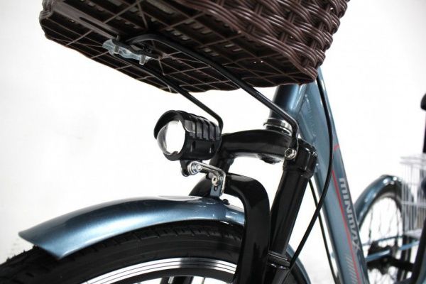 Электровелосипед GreenCamel Трайк-B (R24 500W 48V 20Ah) синий