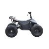 Электроквадроцикл Skyboard CyberTruck Karelia 1800W