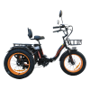 Трехколесный электровелосипед фэтбайк Kugoo Trike